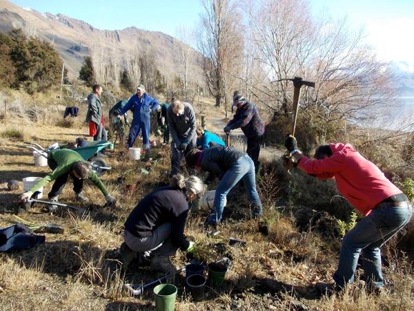 Applications to fund for Otago not-for-profit environmental initiatives now open