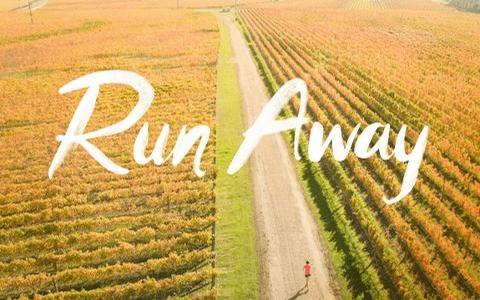 Air New Zealand and Lagardère bring world-class marathon to Hawke's Bay