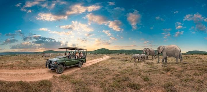 Take a cheap flight to South Africa from Australia - from just $1,449 return