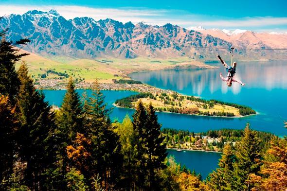 New Zealand’s original zipline company flying high after four years in business