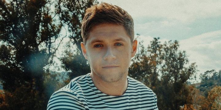 New Release from Niall Horan 'Slow Hands' On
