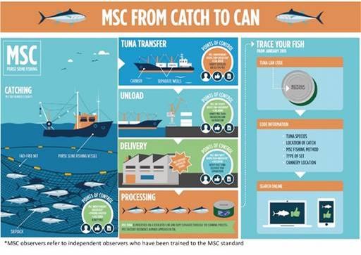 WWF and MSC Unite for Sustainable Oceans