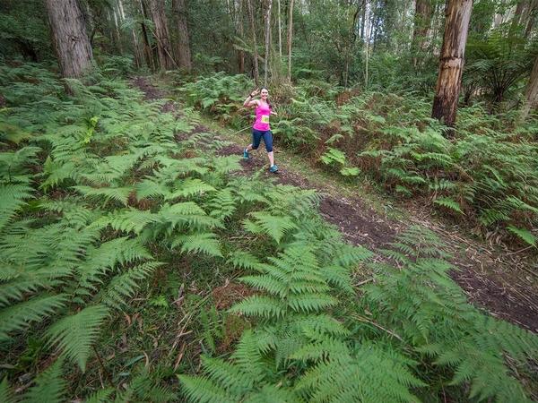 Entries open for The Trail Running Series presented by The North Face
