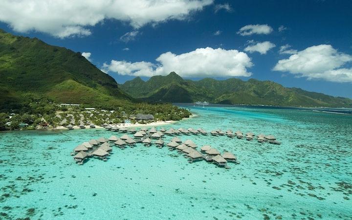 Mad Moorea Offers for Kiwis 