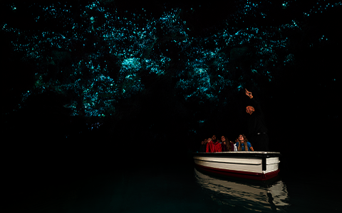 Waitomo Glowworm Caves announced as a finalist in the NZ Tourism Environmental Award