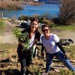 Crowne Plaza Queenstown team plants over 50 native trees in one day