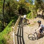Rimutaka Cycle Trail receives $230k funding boost 