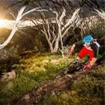 Things heat up as Mt Buller prepares for another busy summer