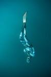Don't Hold Your Breath - Unless You've Joined Auckland's First Official Freediving Club!