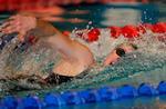 State Insurance NZ Swimming Championships