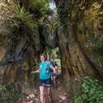 Waitomo Trail Run attracts celebrity attention
