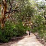 Magnificent running ahead at the new Margaret River Ultra Marathon