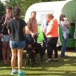 Free dog microchipping a success