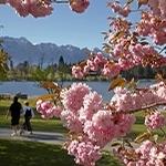 Crowne Plaza Queenstown makes way for Spring