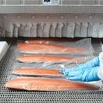 Mt Cook Alpine Salmon receives significant Government investment