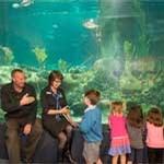 National Aquarium of NZ supports NZ Sign Language Week